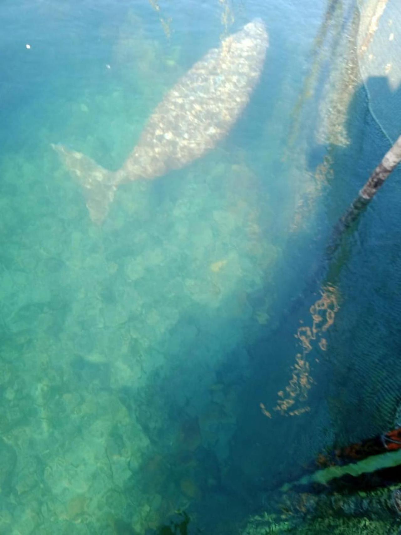 Pondok Wisata Noah Likupang Exterior foto